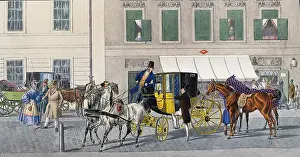 Fiaker: The cabs (Fiaker)