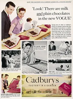 Confectioners: Cadburys advertisement, 1954