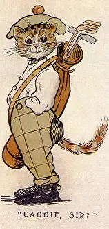 Turne: Caddy Cat