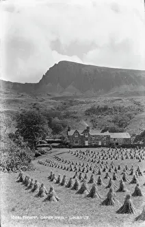 Gwynedd: Cader Idris Farm