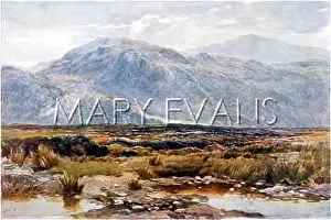 Cader: CADER IDRIS/WEEDON 1880