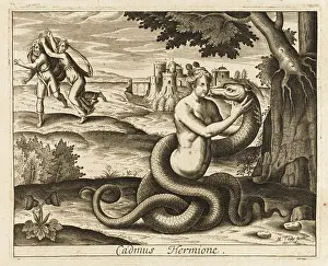 Cadmus: Cadmus into Dragon