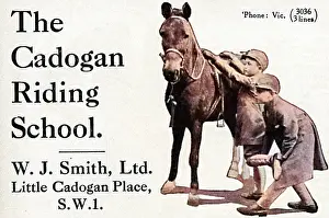 Chidren: Cadogan Riding School advertisement