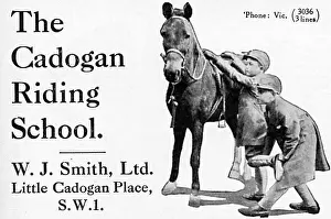 Chidren: Cadogan Riding School advertisement