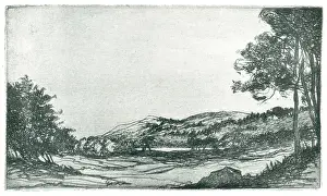 Macneil: Cadzow Forest