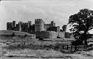 Grassy: Caerphilly Castle