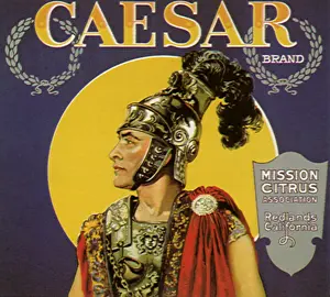 Citrus: Caesar in Armor, Helmet