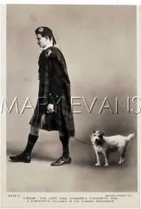 Viis: Caesar at Edward VII's funeral 1910