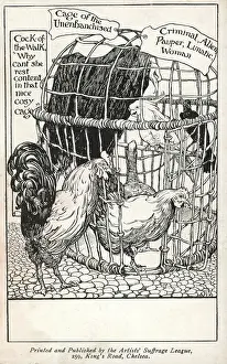 Lunatics: Cage of the unenfranchised