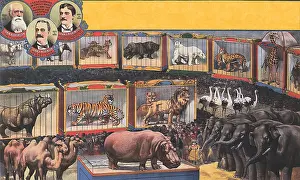 Caged: Caged Circus Animals