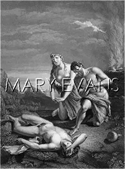 Slew: CAIN KILLS ABEL/VANDERWF