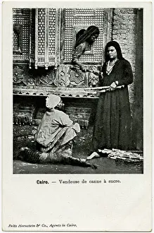 Sugarcane: Cairo, Egypt - Sugar Cane Seller