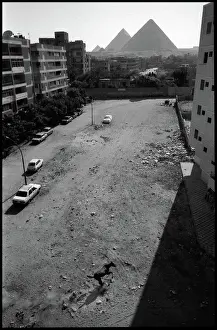 Runaway: Cairo suburb, Egypt - pyramids and runaway horse