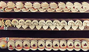 Scallop: Cake Border and Side Scroll Designs