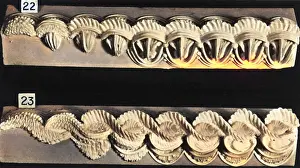 Serrated: Cake Border and Side Scroll Designs