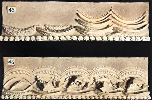 Scallop: Cake Border and Side Scroll Designs