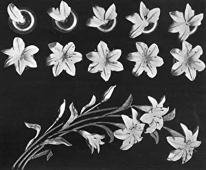 Makeing: Cake design, flower making