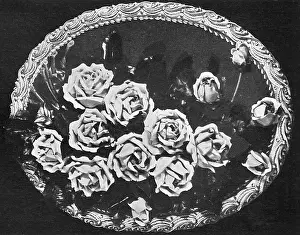 Plaques: Cake design, flower making. Marzipan Rose Plaque