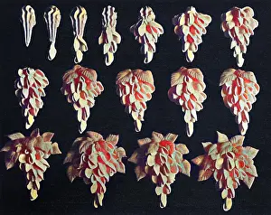 Pastries: Cake design, flower making. Wistaria