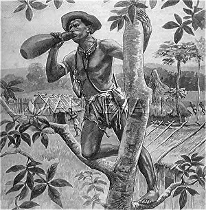 Hollowed: Calabash as a loud hailer