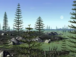Paleoecology: Calamites and Drepanophycus populate lowlands near the ?