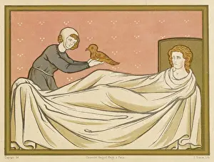Lark: CALANDER'S DIAGNOSIS