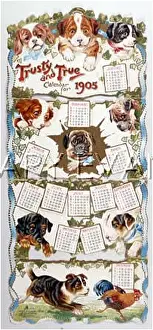 Trusty: CALENDAR OF PUPPIES