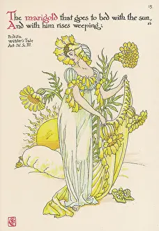 Calendula: Calendula Officinalis