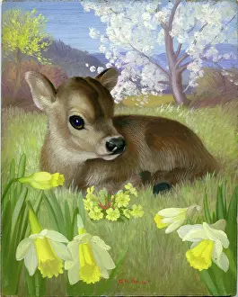 Heda: Calf in a field with daffodils and primroses