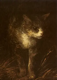 Gainsborough: Calico Cat, by Gainsborough