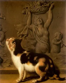Mieris: Calico Cat looking at Bas-Relief