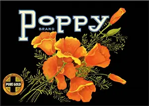 Luminescence: California Poppies