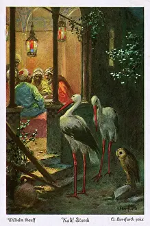 Caliph: Caliph Stork, an eastern tale