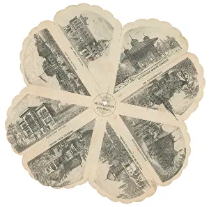 Unfolded: A so called 'Stdteblume' for the
