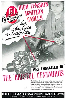 Callenders: Callenders Cables & Electrical Wiring