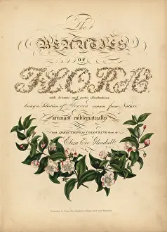 Litho: Calligraphic title page with vignette from