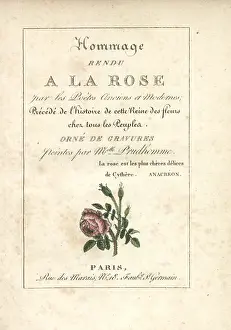 Prudhomme: Calligraphic title page with vignette of a moss rose