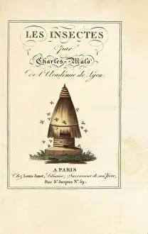 Borde: Calligraphic title and vignette of beehive with bees