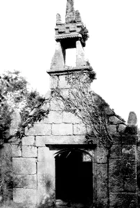 Callington: Callington, Dupath Well 1890