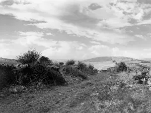 Wavering: CALLOW HILL TRACKWAY