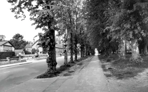 C1960: Calne, Wessington Avenue c1960