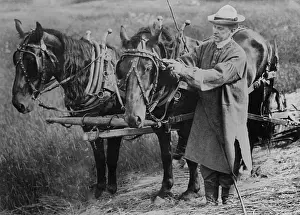 Mover: Calvin Coolidge adjusting a horse's harness on his