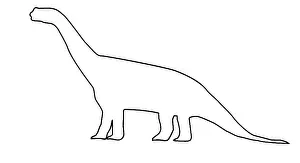 Sauropoda: Camarasaurus