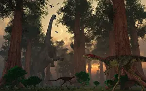 Camarasaurus: A Camarasaurus dinosaur feeding while a pair of ?