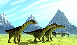 Plains: Camarasaurus dinosaurs eating sparse vegetation