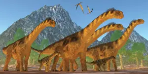 Colorado: A Camarasaurus sauropod dinosaur herd keeps watch on their ?