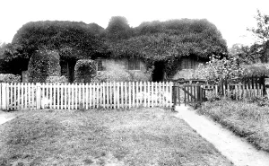 Camberley: Camberley, Old Cottage 1906