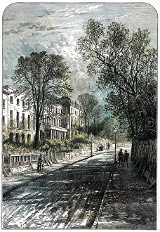 CAMBERWELL GROVE