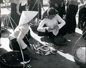 Dole: Cambodia - Philippines - Vietnam