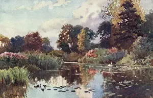 Gdns: CAMBRIDGE/BOTANIC GDNS